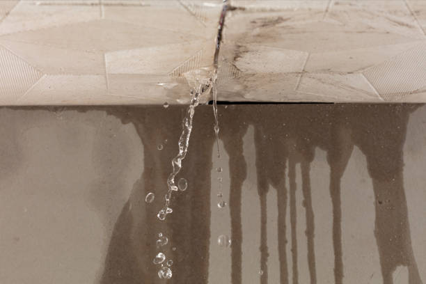 Professional Water Damage Inspection technician working in Fish Creek, WI